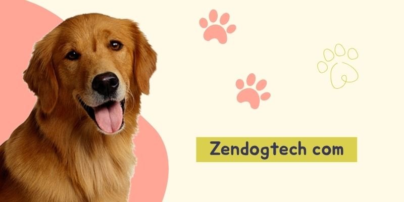Zendogtech Com