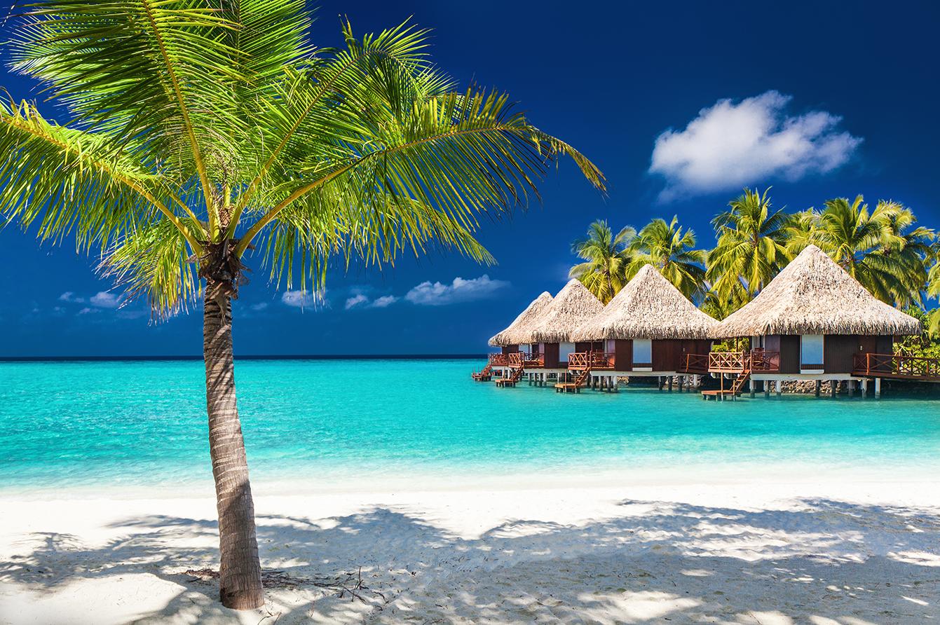  Thatched-roof bungalows on stilts over a calm tropical ocean with palm trees on a white sand beach.