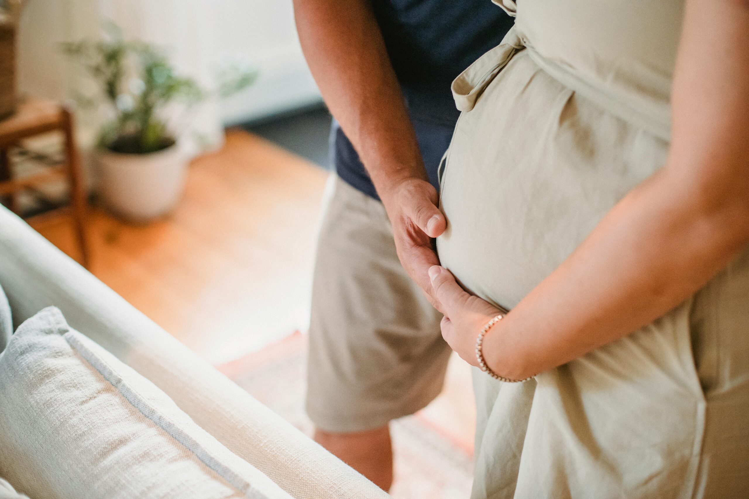 Pregnancy Photoshoot In Saree With Husband