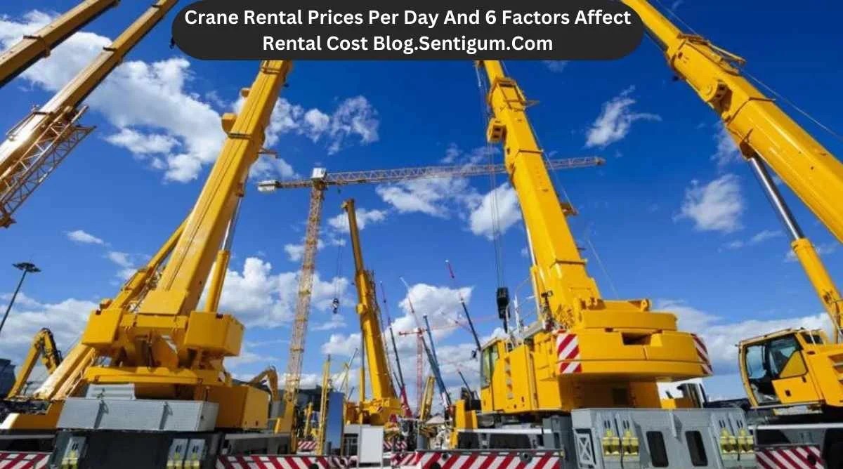 Crane Rental Prices Per Day And 6 Factors Affect Rental Cost Blog.sentigum.com