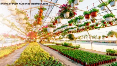 The Benefits Of Plant Nurseries Webfreen.com