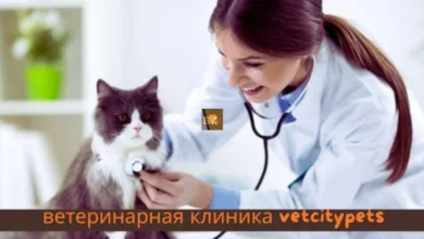 Ветеринарная Клиника Vetcitypets