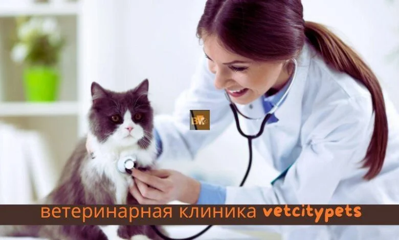 Ветеринарная Клиника Vetcitypets