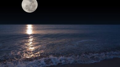 Moon 10 Com