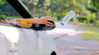 Who Is Responsible For Littering From A Motor Vehicle?