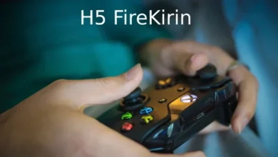 H5 Firekirin