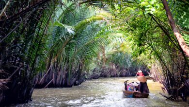 Vietnamreview . Net