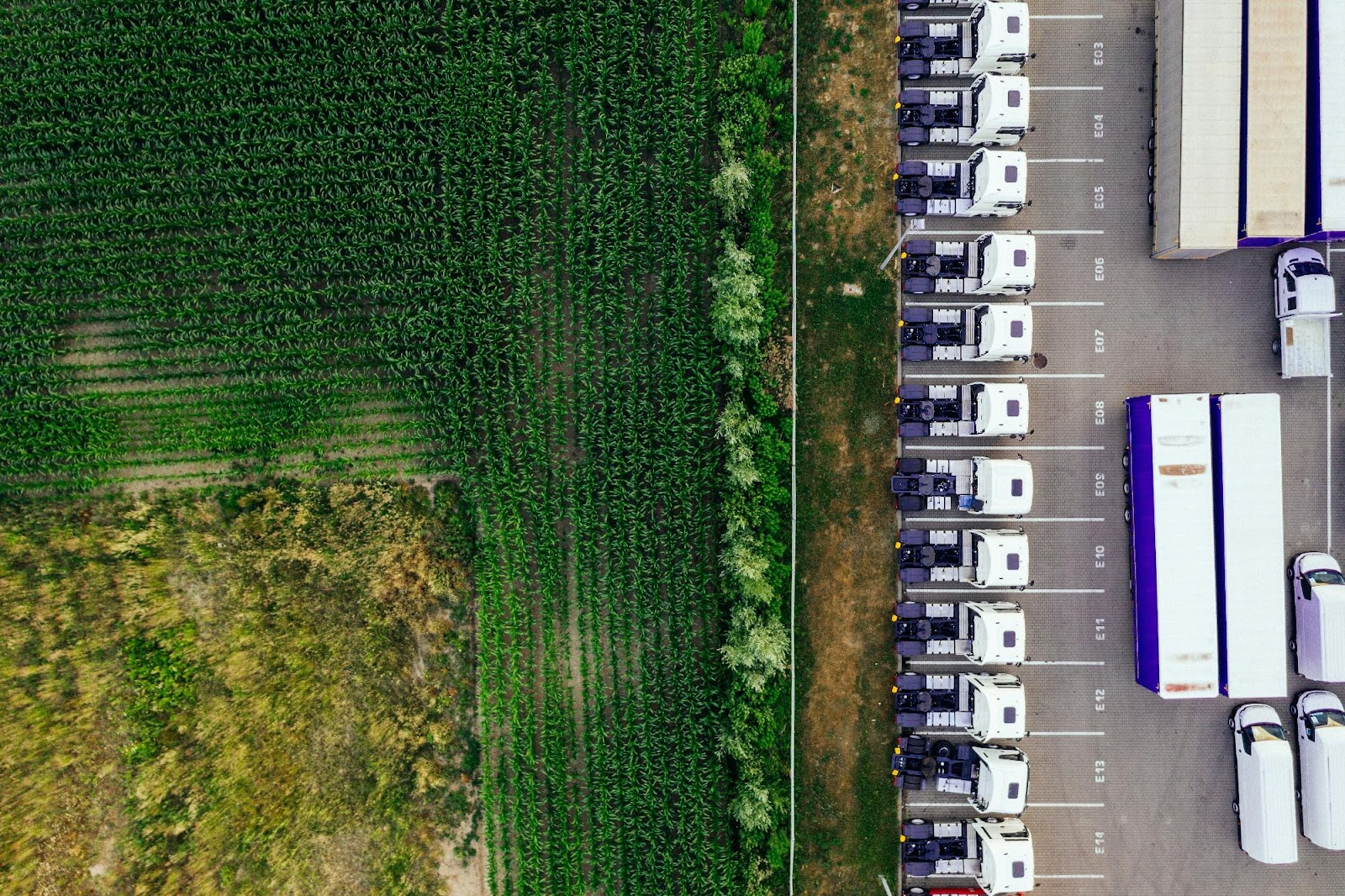 Successful Trucking Business