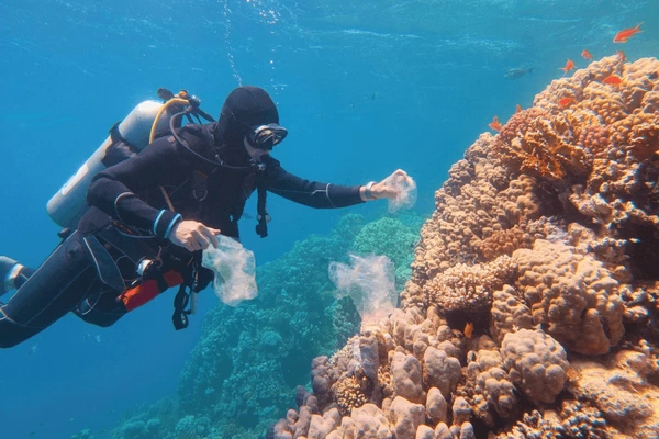 Trips in Belize