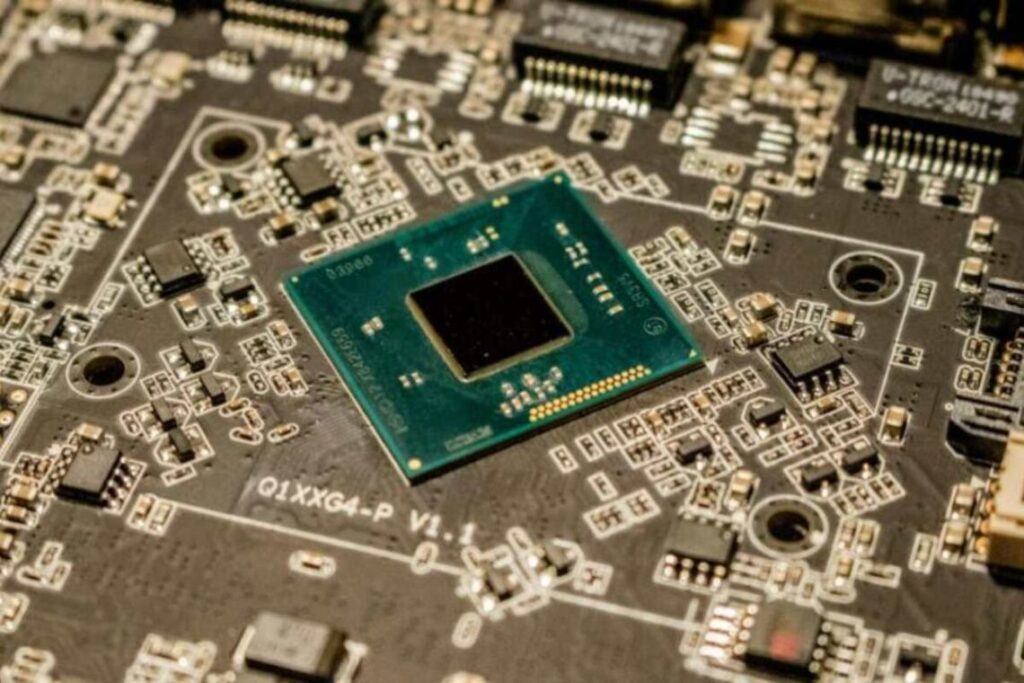 How Zikzoutyqulsis Discovered