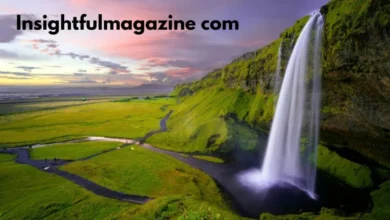 Insightfulmagazine Com