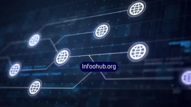 Infoohub Org