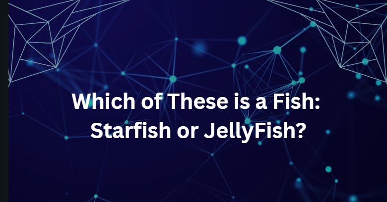 Which Of These Is A Fish: Starfish Or Jellyfish?