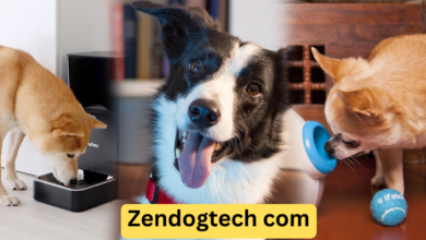 Zendogtech Com