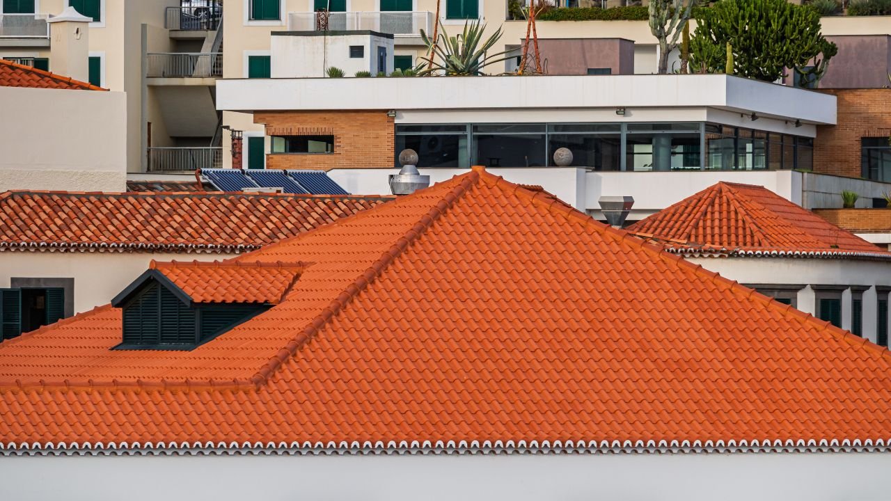 About Ast Hudbillja Odds Bonus