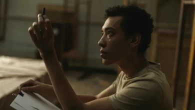 about dimrekemesgen skills