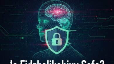 Is Fidzholikohixy Safe