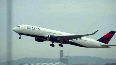 Delta Flight Dl275 Japan Diversion Lax