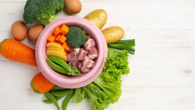 Is Ingredients In Qoghundos Good